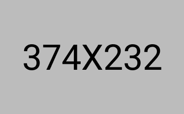 Abundant Fruit Collection