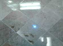 Popular Product Images